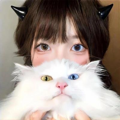 双姝艳